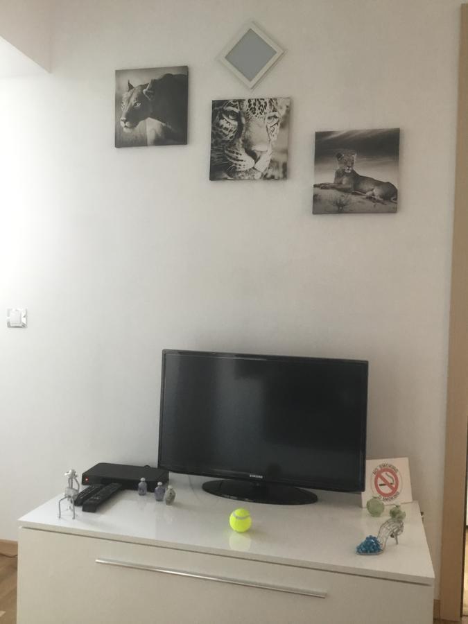 White Dream Suites Iasi Bagian luar foto