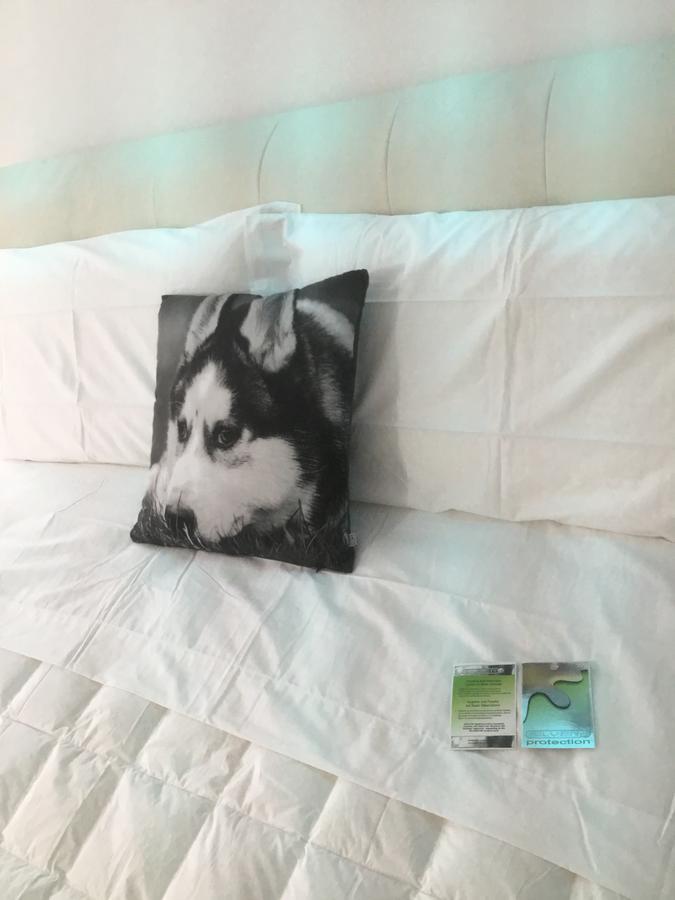 White Dream Suites Iasi Bagian luar foto